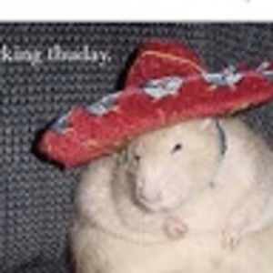 Meet your Posher, Help im dying